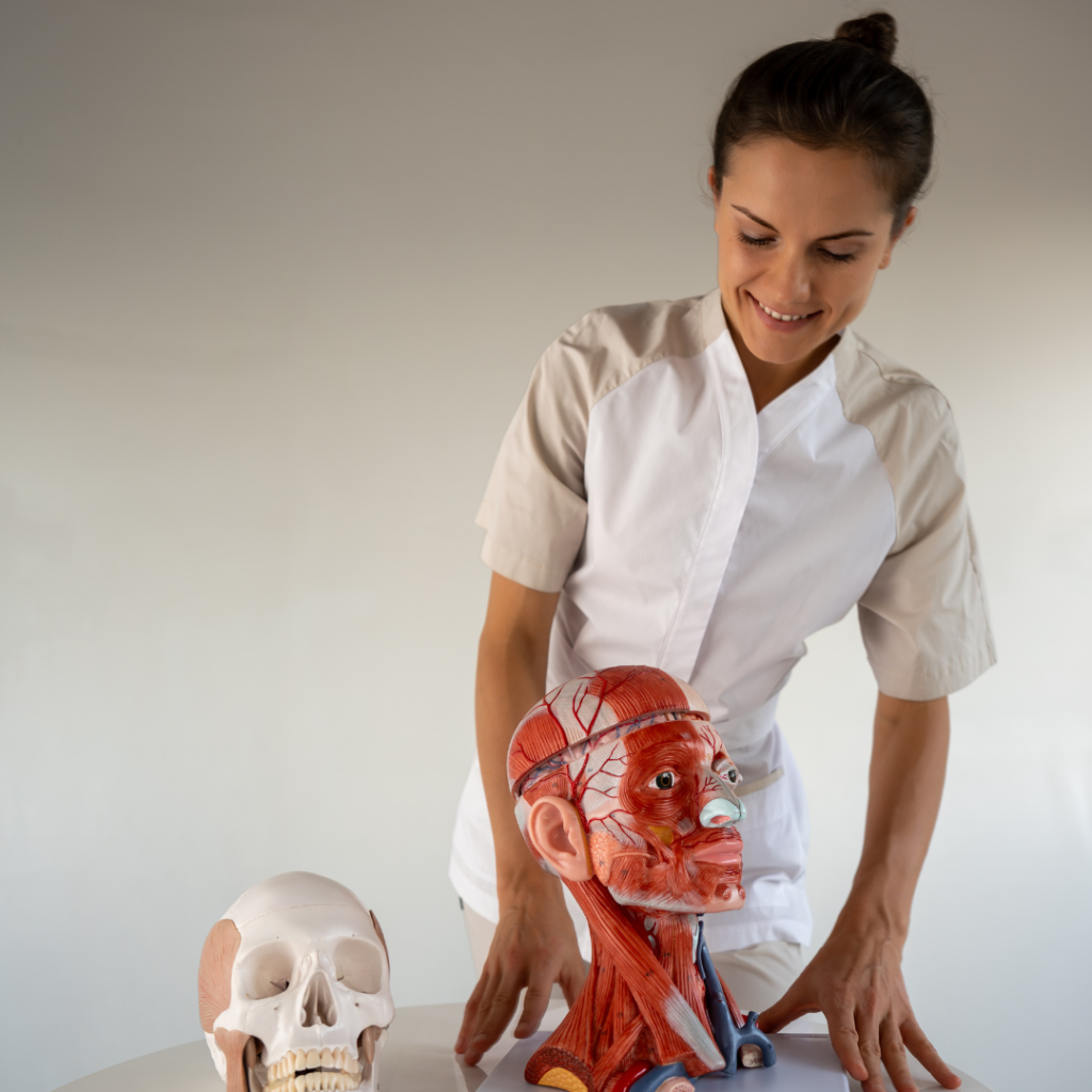 Professional face sculpting massage training. Online and hybrid courses focused on technique, anatomy, session structure, and visible results. -